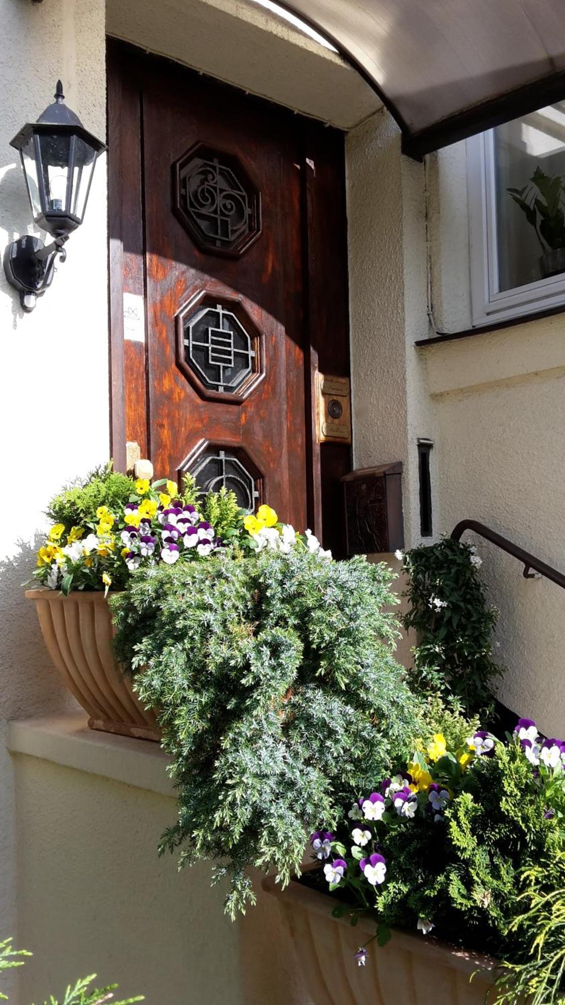 Nielsen Guest house 3*